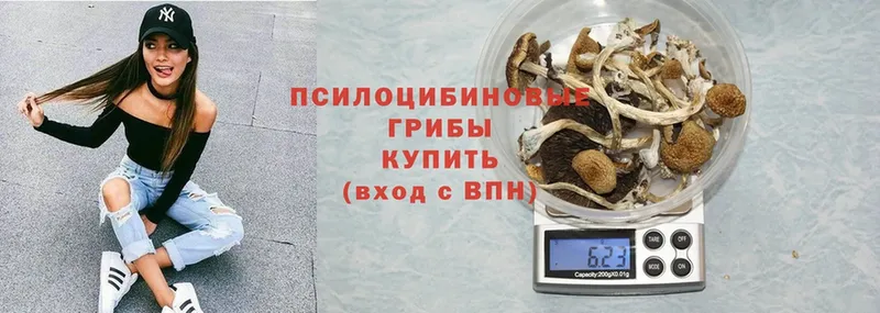 Псилоцибиновые грибы Psilocybe  дарнет шоп  blacksprut зеркало  Лахденпохья 