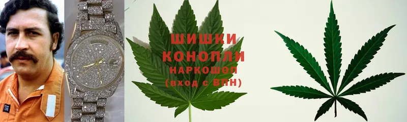 Марихуана White Widow  Лахденпохья 